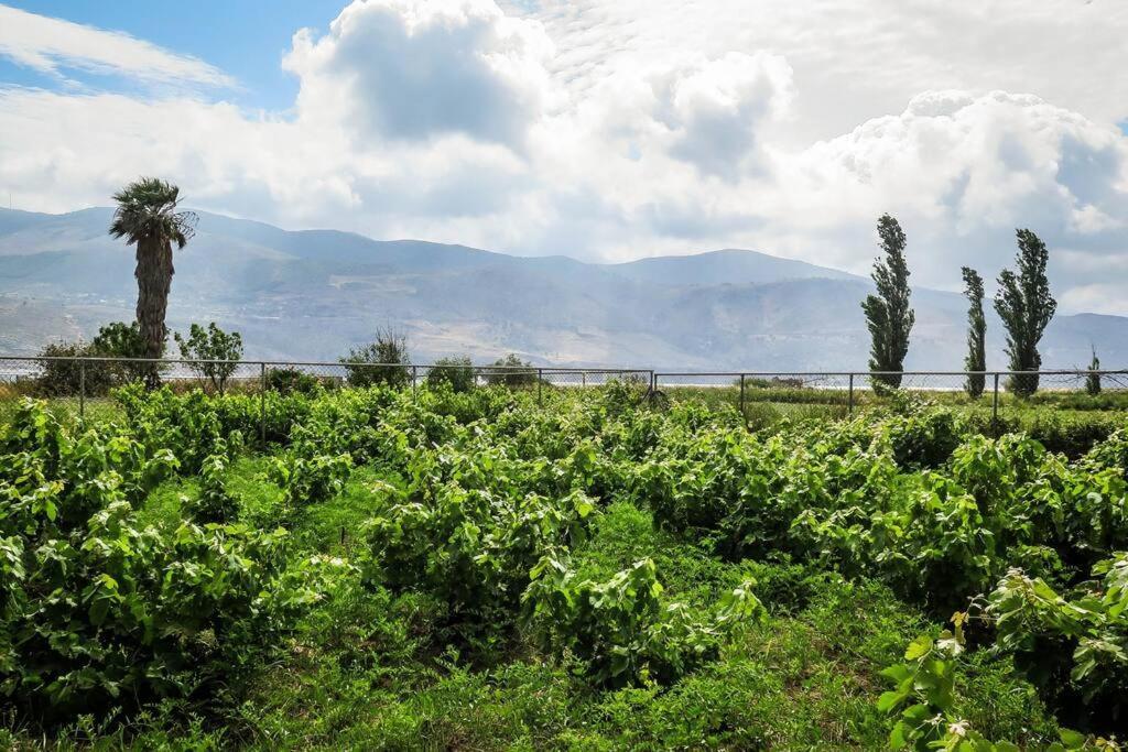 Villa Rania: Ευάερη Βίλα Με Θέα Τη Θάλασσα 릭수리 외부 사진